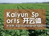 种植基地五